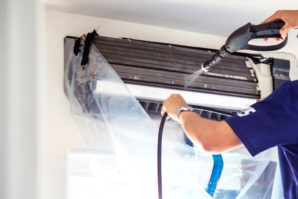 Best Air Duct Mold Removal  in Weidman, MI