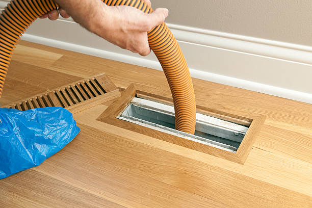 Best Affordable Duct Cleaning Services  in Weidman, MI